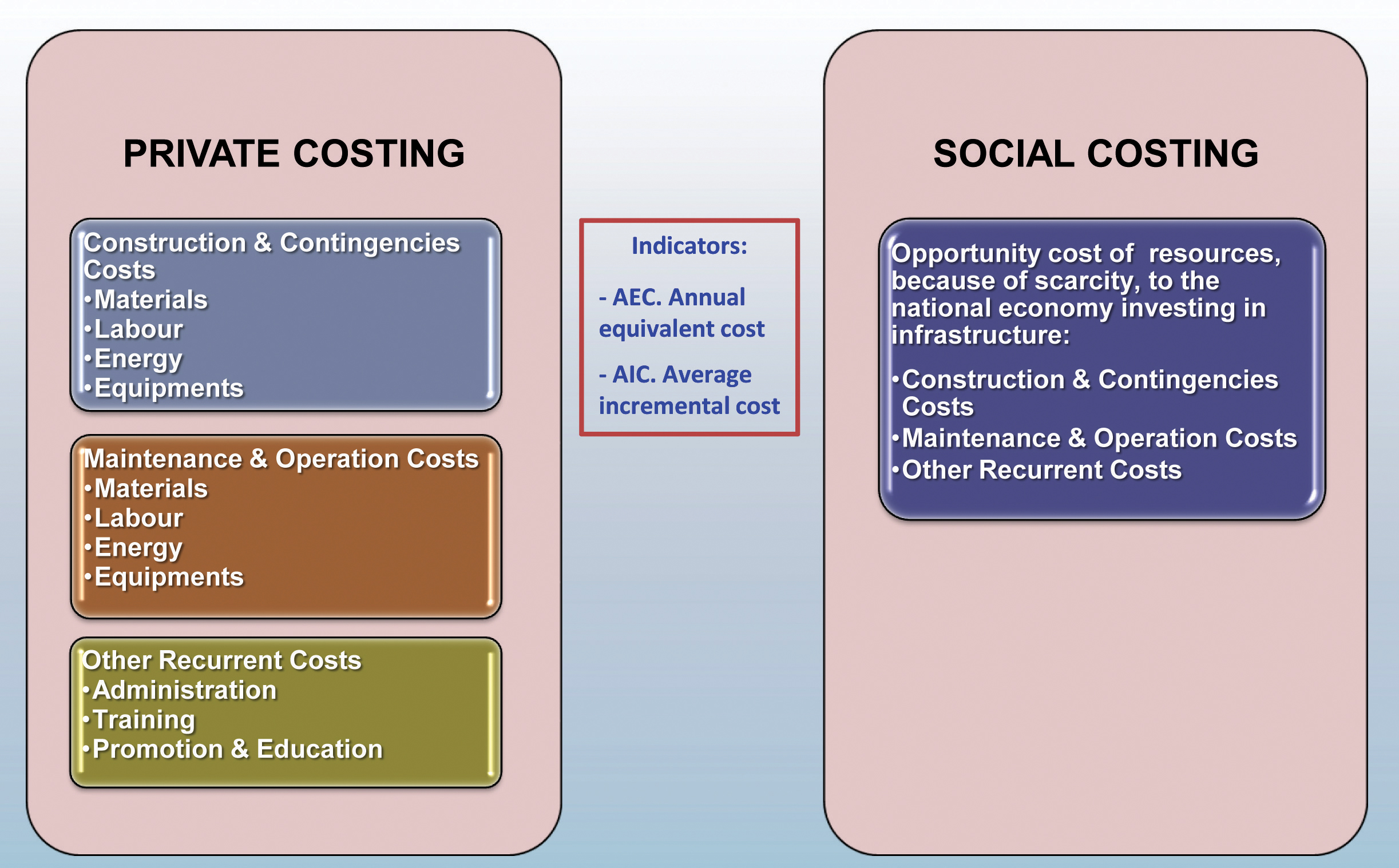 Private v. Social Costing