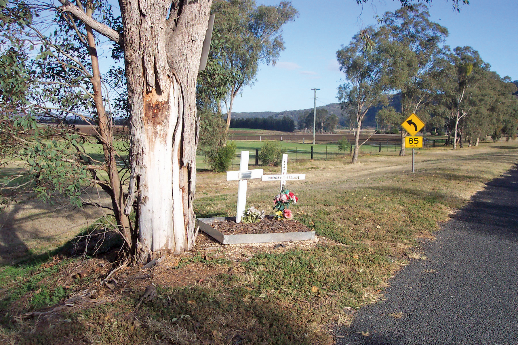 Graves of Car Crash Victims