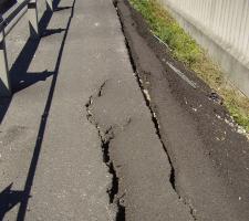 Cracks in asphalt roads 