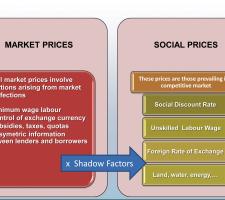 Market V. Social Prices