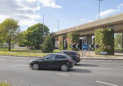 Plants land a punch on pollution: Southampton’s Millbrook Flyover has 10 of Biotecture’s freestanding living wall structures (image courtesy Biotecture)