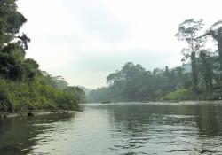 Kelani River Sri Lanka. Pic: Dunnock D